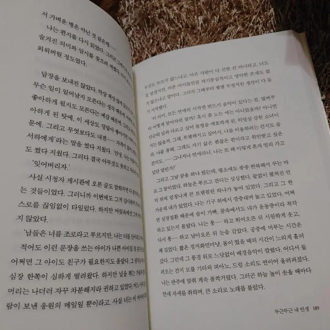 두근두근 내 인생 소설 책 도서