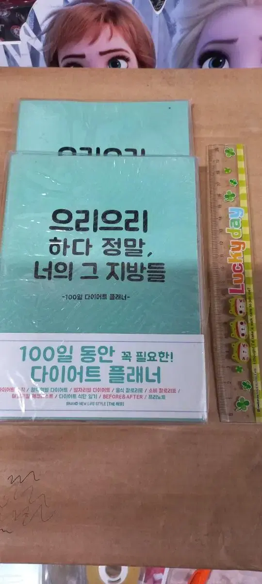 3000 다이어트플래너 100일 1권 1,000원