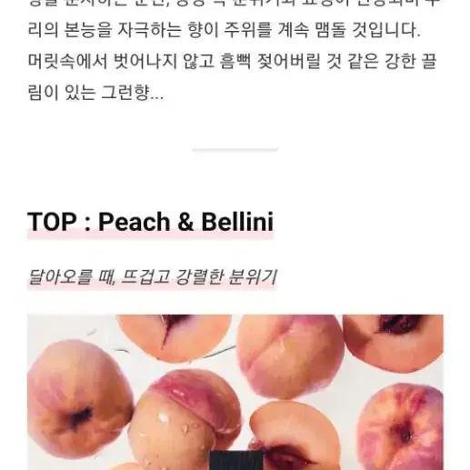 FXXK THE PEACH 텀블벅 향수