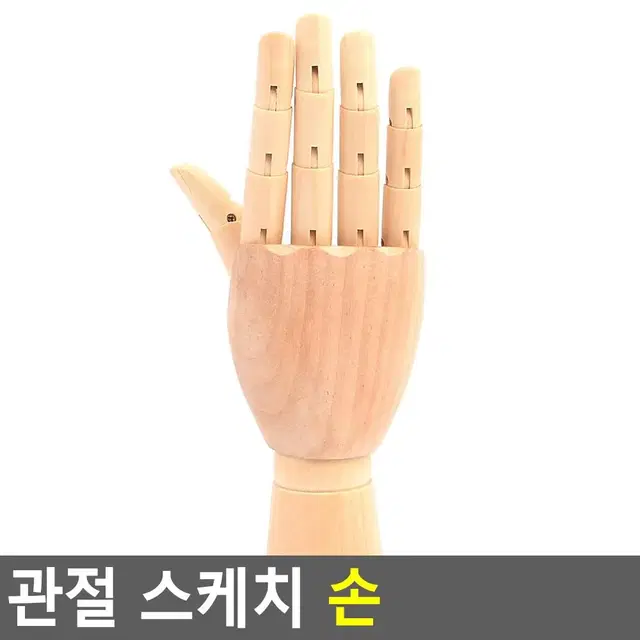 스케치 연습용손 관절 마네킹손