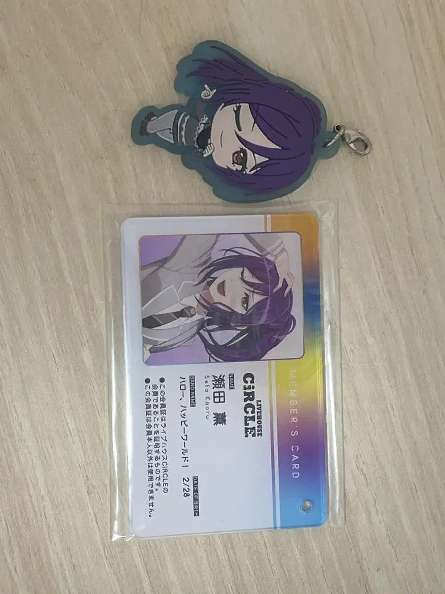 Vandream Theta Kaoru Student ID Keyring