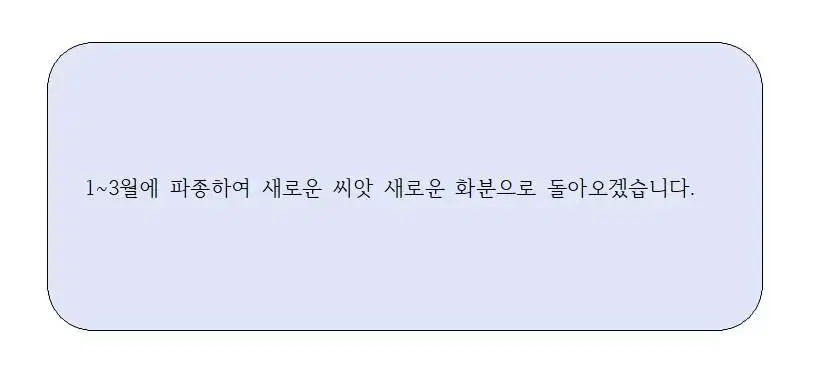 방울토마토(빨.노).항암쌈채.미니당근바질.로메인.부추.치커리.깻잎