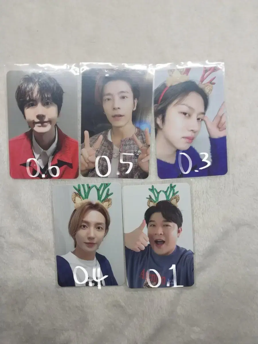 Super Junior Shoojoo 2024 Pink Christmas Random Pack