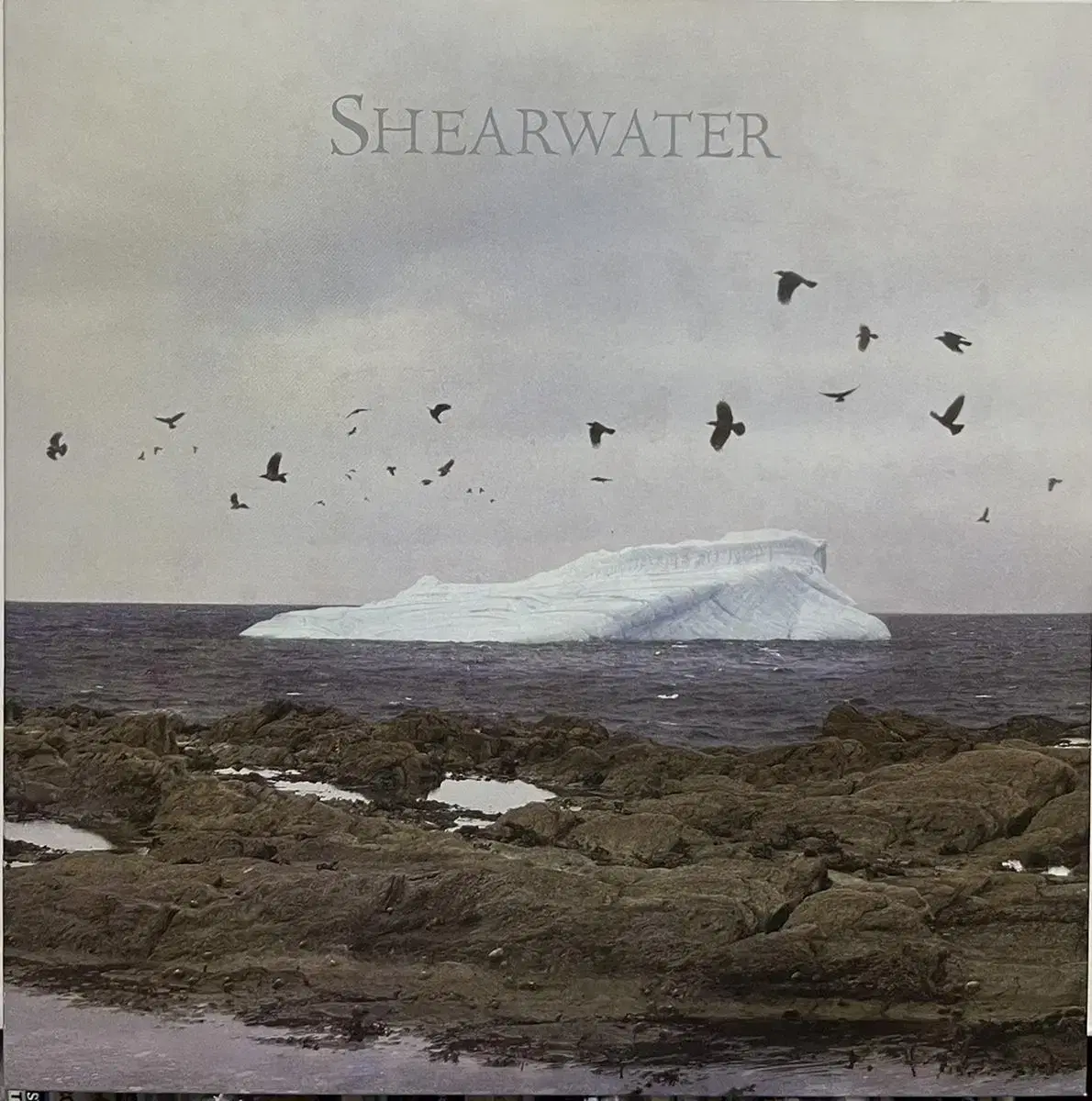 (7인치) Shearwater -Rooks lp