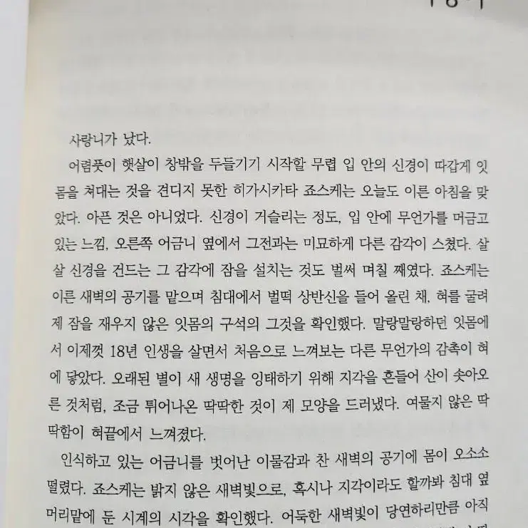 죠죠 장승 소설 죠스케x죠타로 사랑 4부