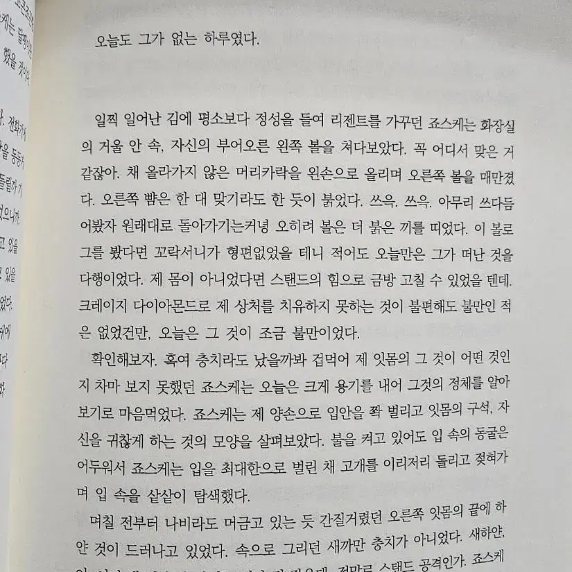 죠죠 장승 소설 죠스케x죠타로 사랑 4부