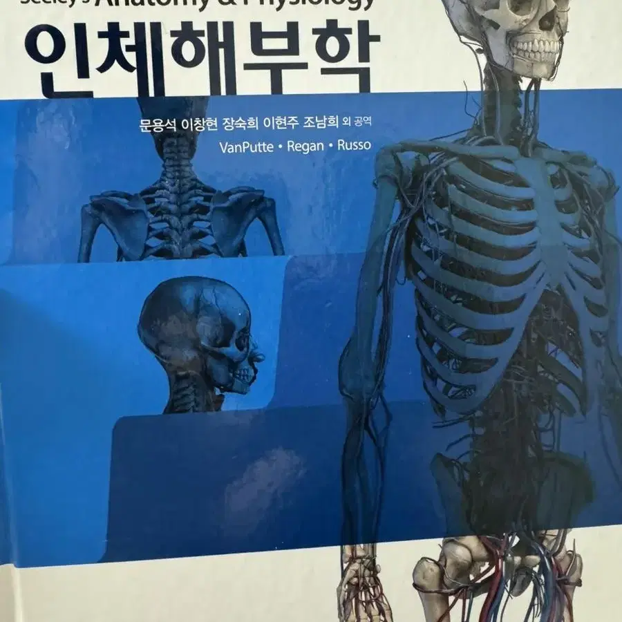 정문각 해부학