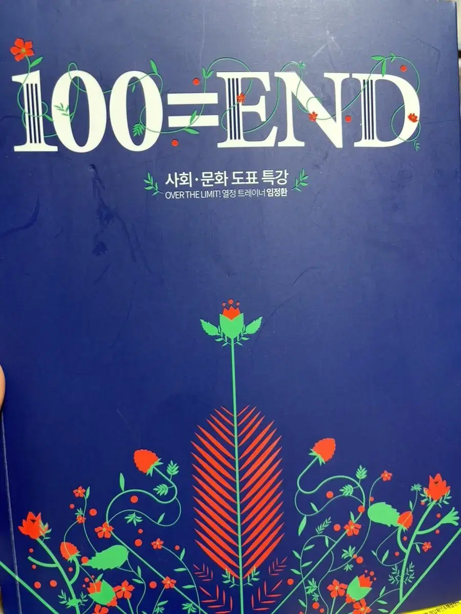 대성마이맥 100end 사회문화 도표 임정환