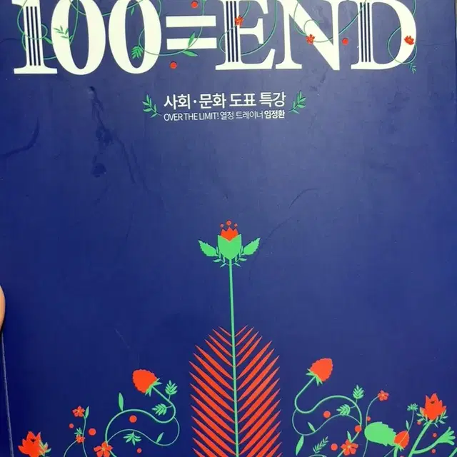 대성마이맥 100end 사회문화 도표 임정환