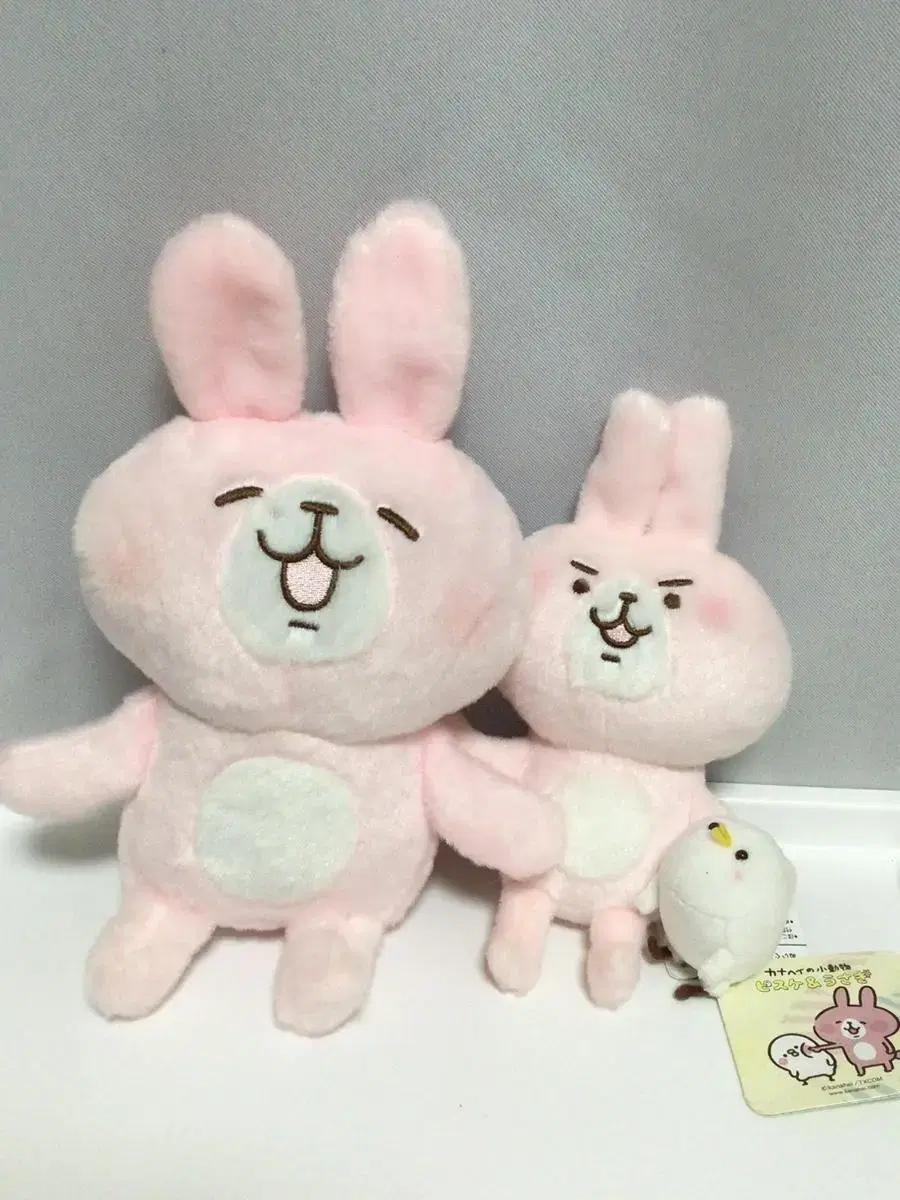 Genuine Japanese Kanahei Usagi doll rabbit dolls