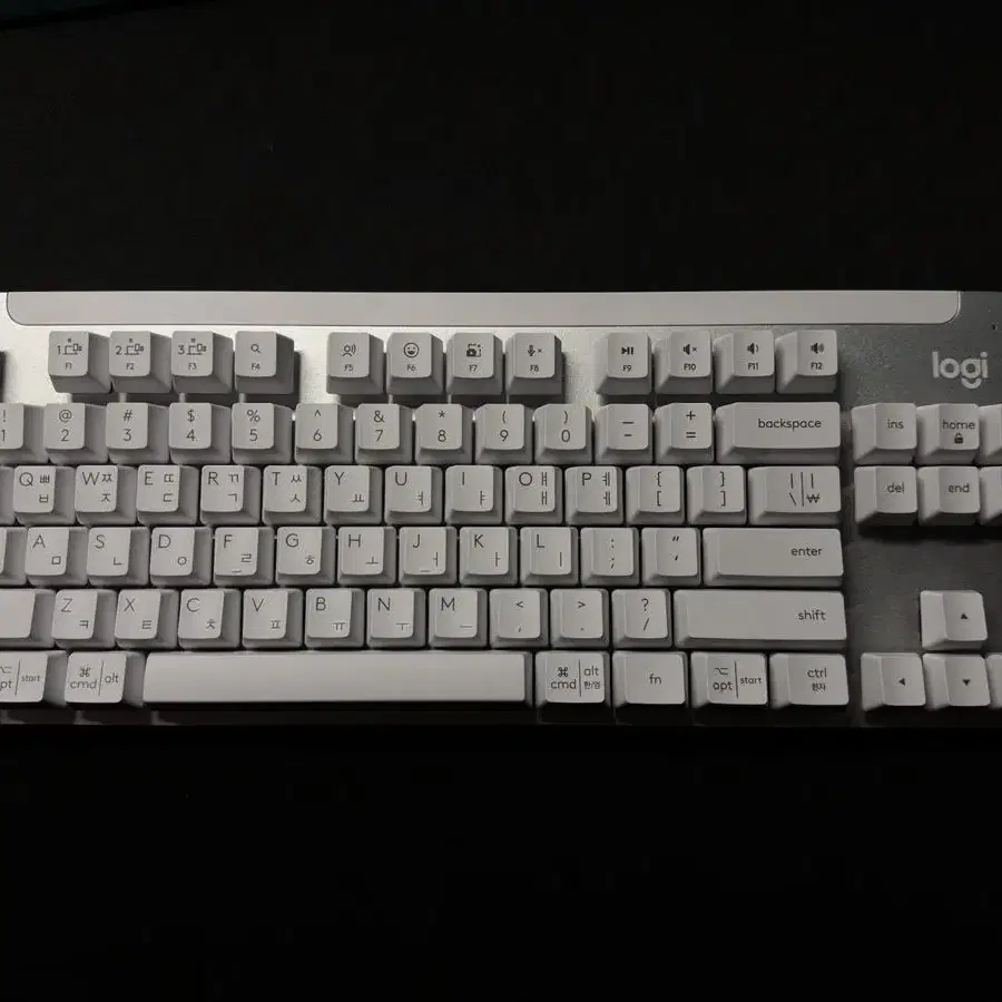 로지텍 K855 (무선 기계식 키보드)