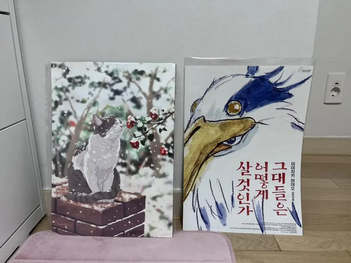 Posters 3000 won each