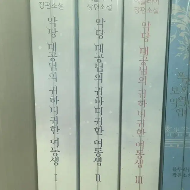 악당 대공님의 귀하디 귀한 여동생 소장본 마지막가격내림