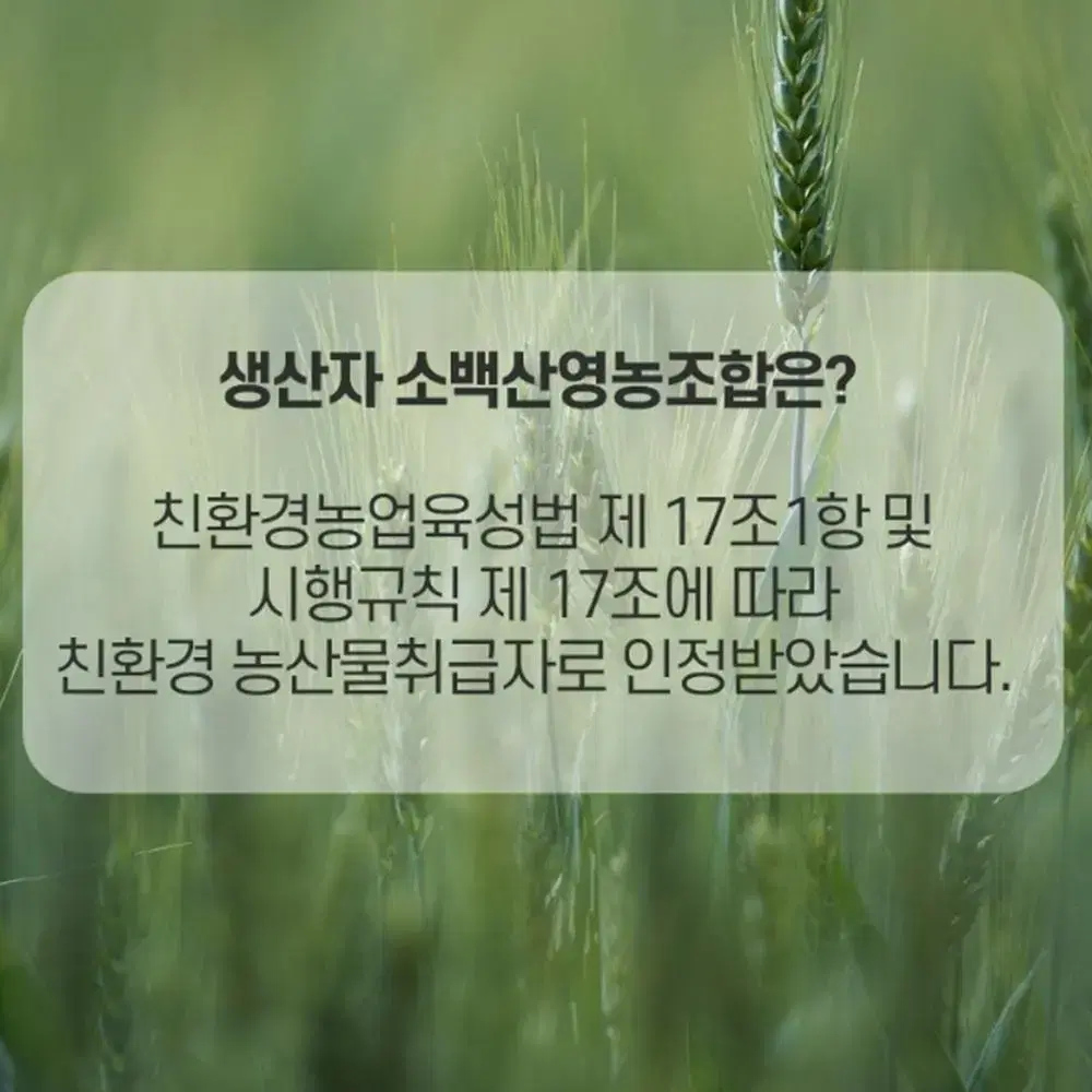 친환경 유기농 잡곡 쌀 선물 세트 3.7kg / 설 명절 설날 추석