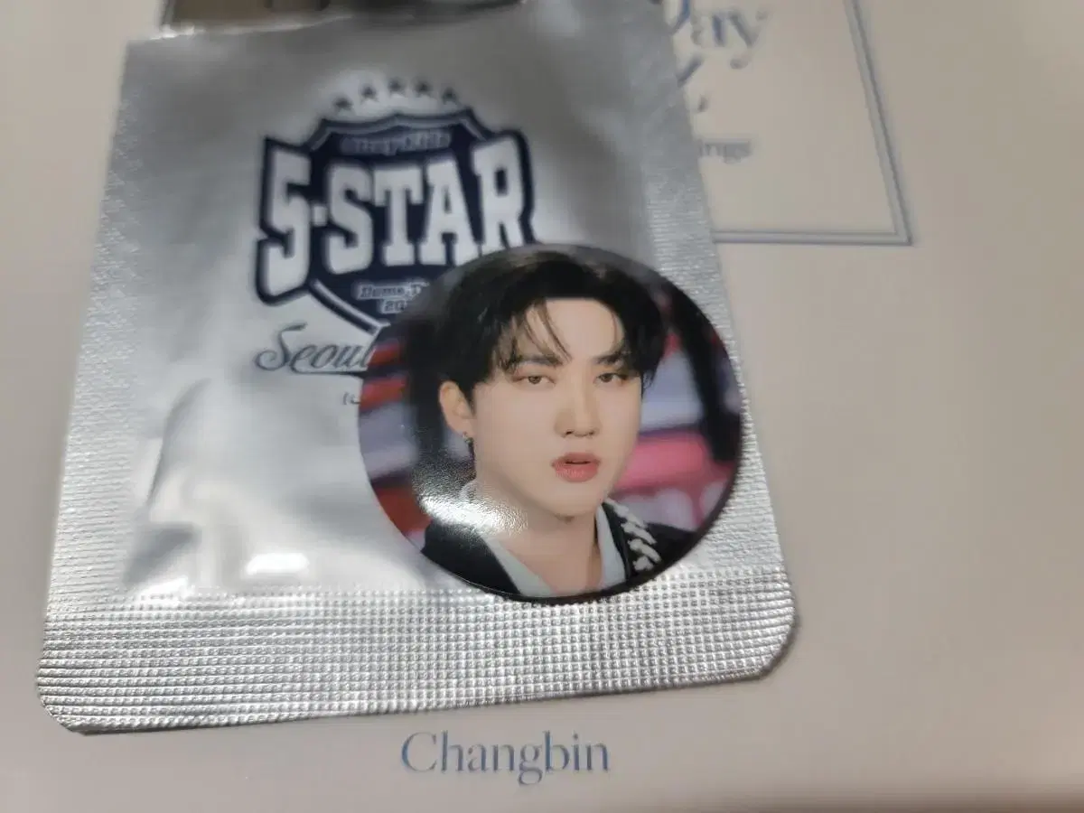 skz dome tour canbadge changbin