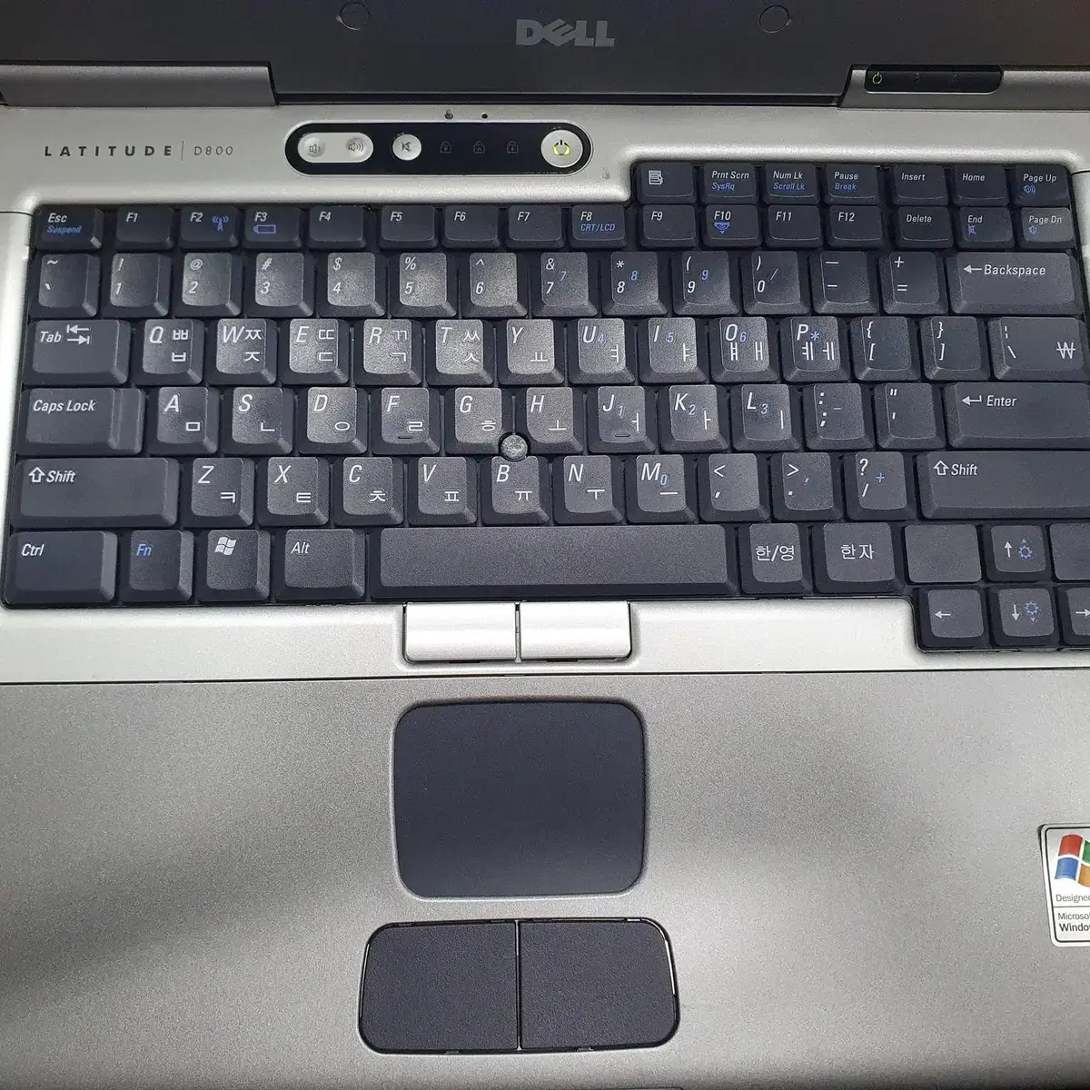 Dell D800  노트북