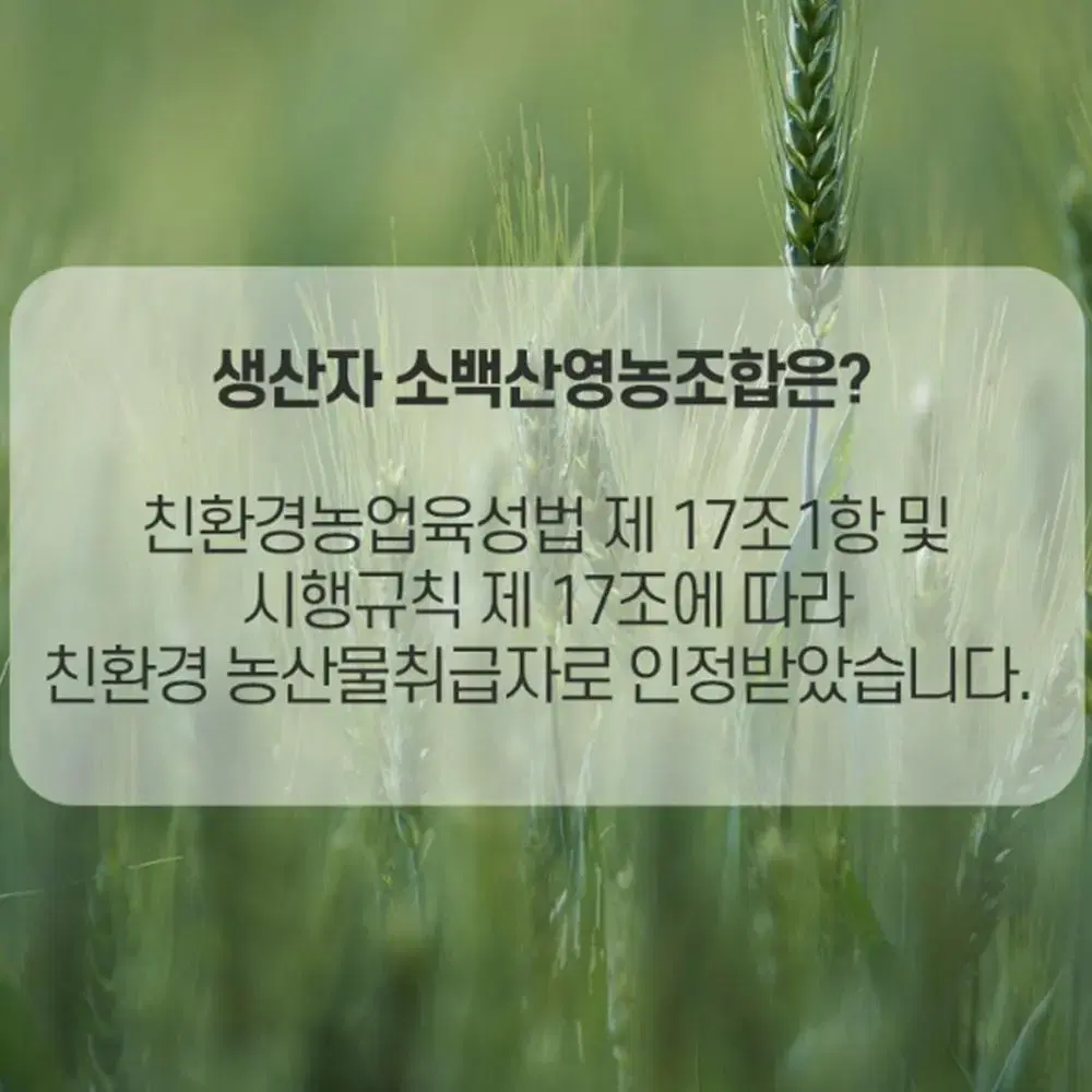 친환경 무농약 잡곡 쌀 선물 세트 2.5kg / 설 명절 설날 추석