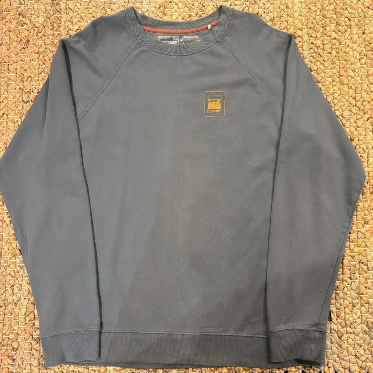 Patagonia Organic Cotton Sweatshirt (H3458)