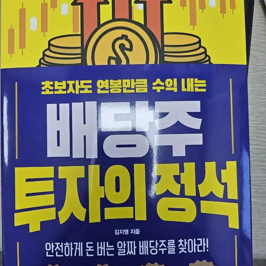 초보자도 연봉만큼 수익 내는 배당주 투자의 정석