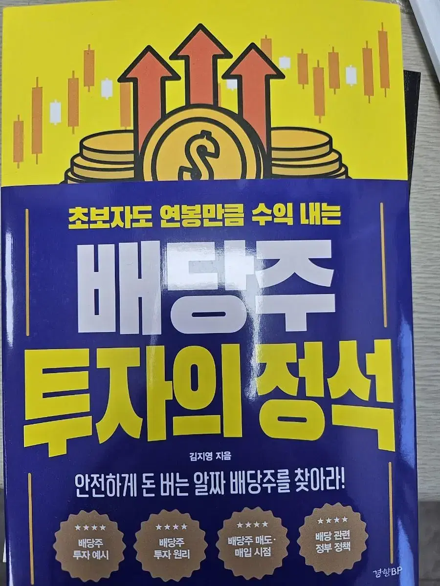 초보자도 연봉만큼 수익 내는 배당주 투자의 정석