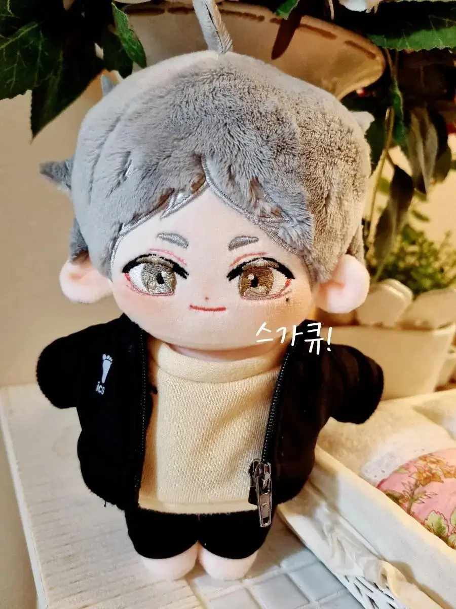 Haikyuu Sugawara 20cm Plush Doll Sugakyu (Clothes x)