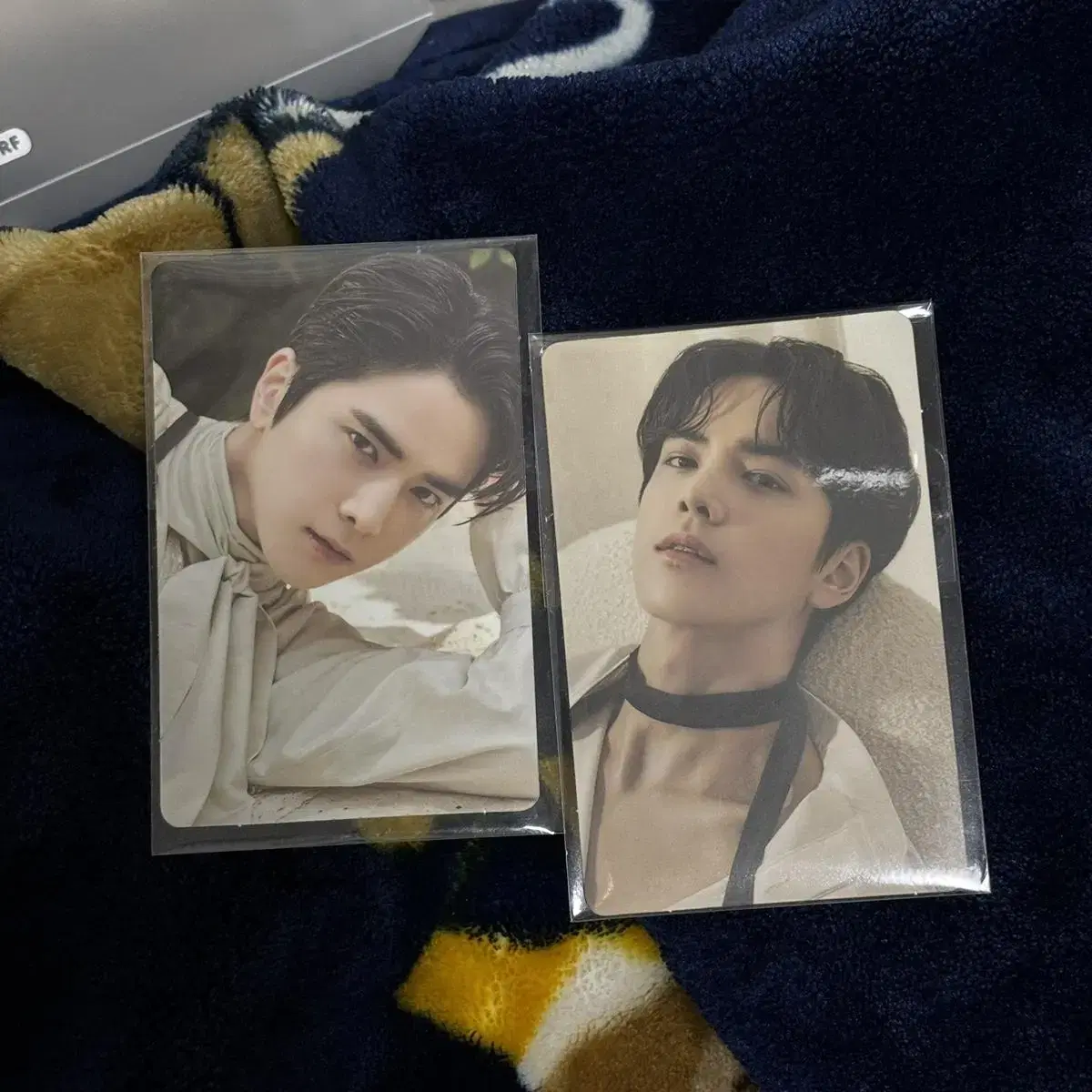 The Boyz younghoon Dinto Photo Card