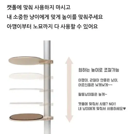 모든펫 세상 튼튼한 원목 캣폴 캣타워 225-250cm (가격내림)