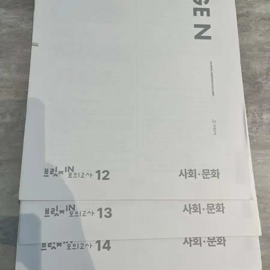 시대인재 브릿지N 사회문화 12~20회