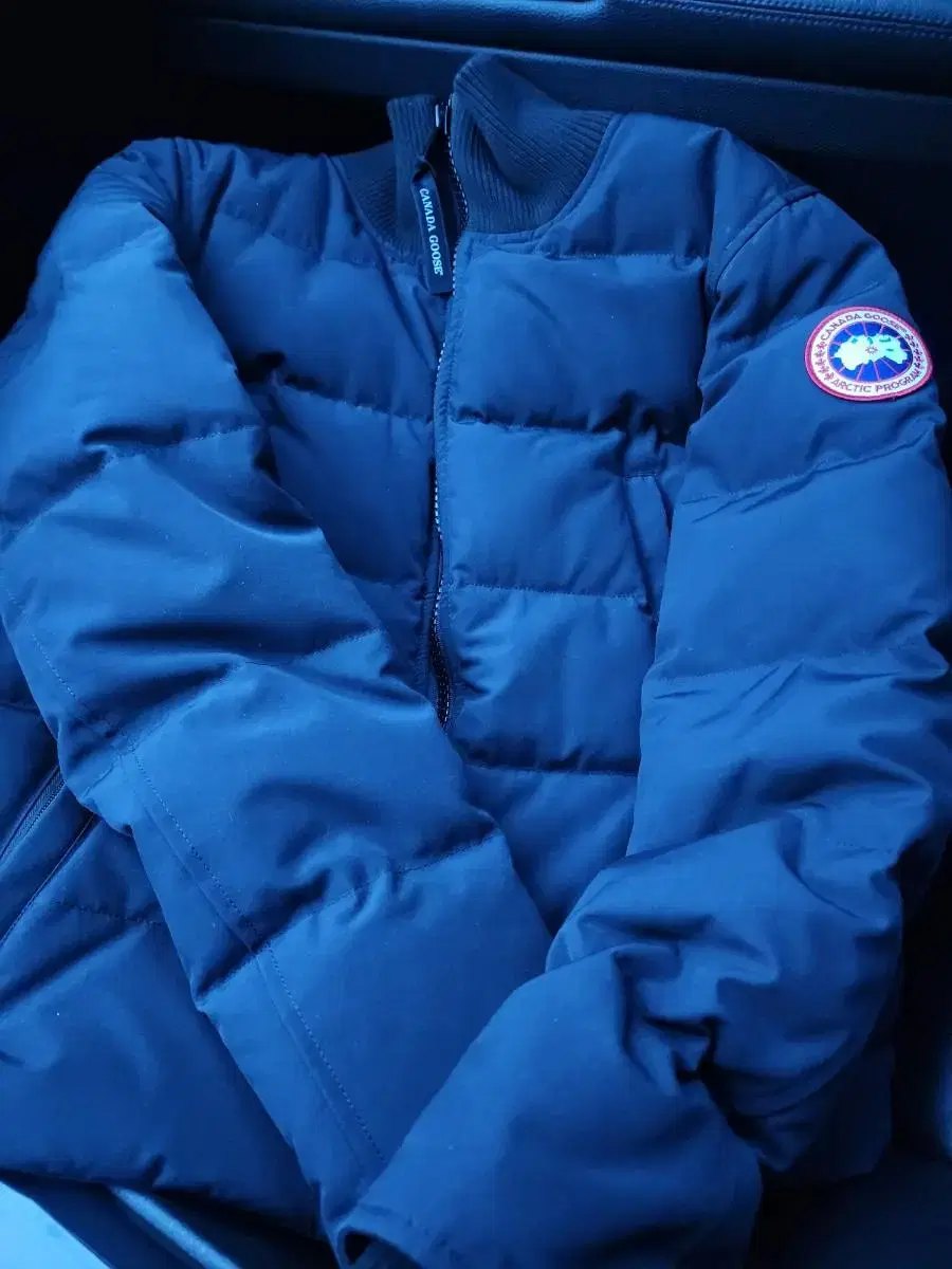 Canada Goose Jacket (last in, first out)