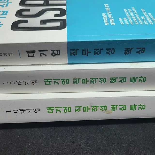 10대기업 직무적성 핵심특강 인적성책 총3권 ( S취업컨설팅) 택포!싸게