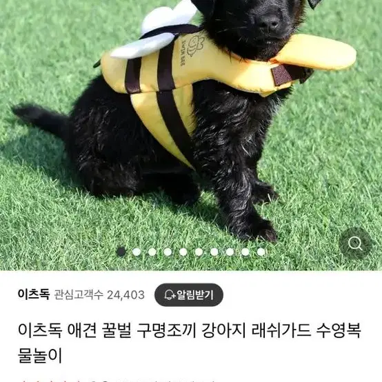 강아지 구명조끼