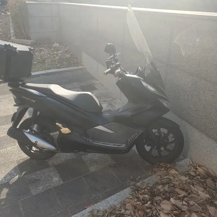 pcx. 2020년식