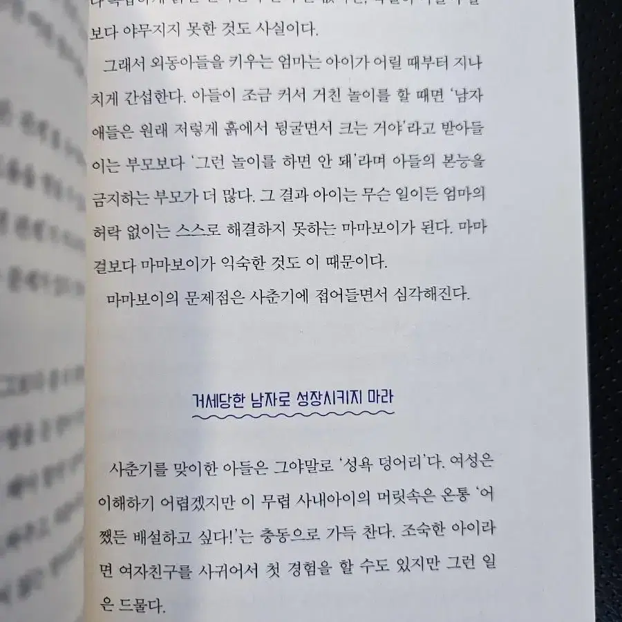 작은 소리로 아들을 위대하게 키우는 법