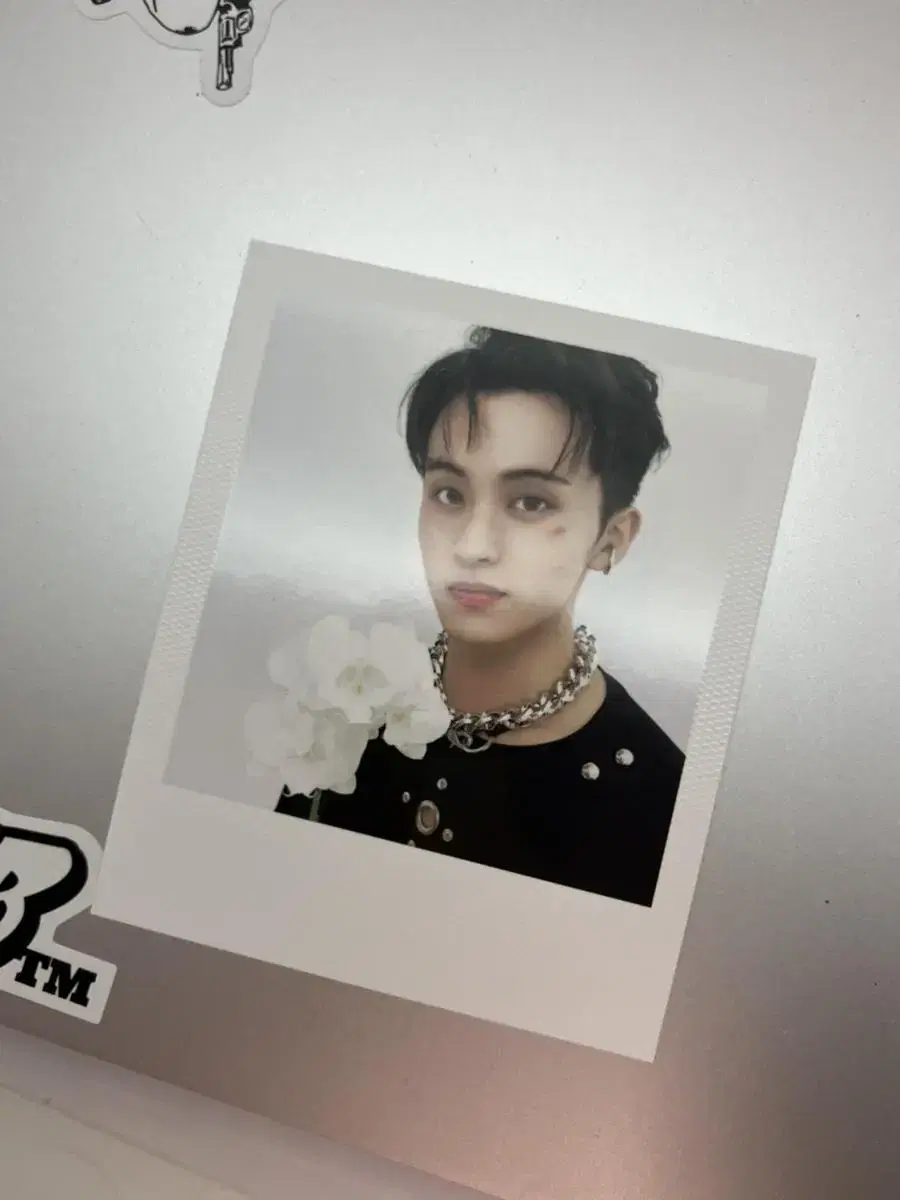 2024 Dream seasons greetings mark Random pola Sell