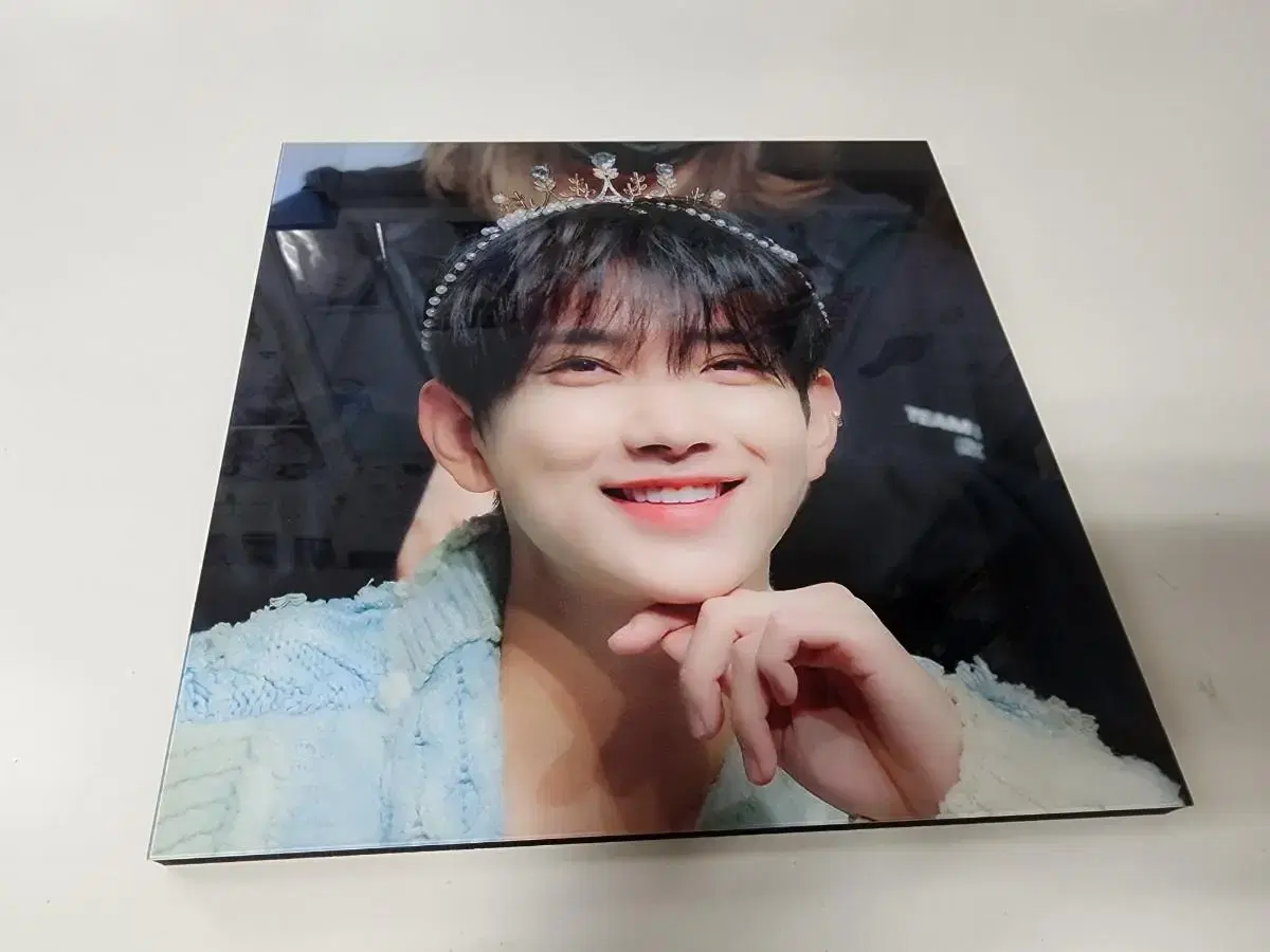 Seventeen joshua frame wts!