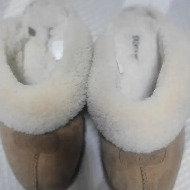 ugg 털슬리퍼 240