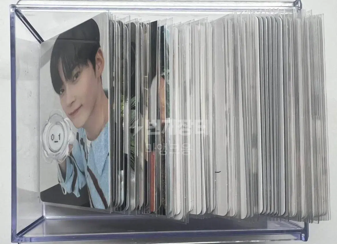 Zerobaseone random photocard (I'm totally pissing on you..) Talduk disposal ㅠㅠ