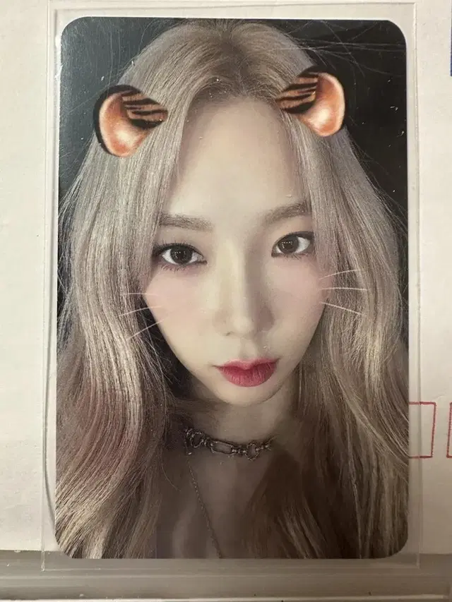 태연 포카 양도 소녀시대 taeyeon 포토카드 미공포 호랑탱