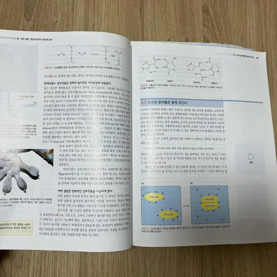 편입화학, 생화학, 김영편입 문제집