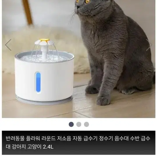 애견정수기(필터3개포함)