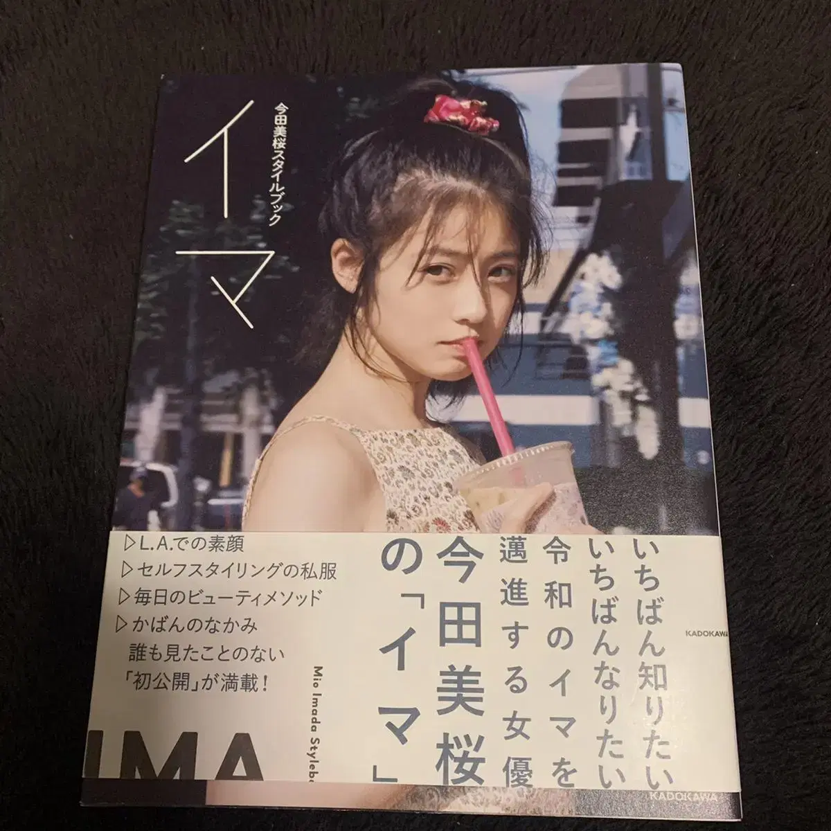 Imada Mio Goods Stylebook - Ima 128P Photo Album Photo Album