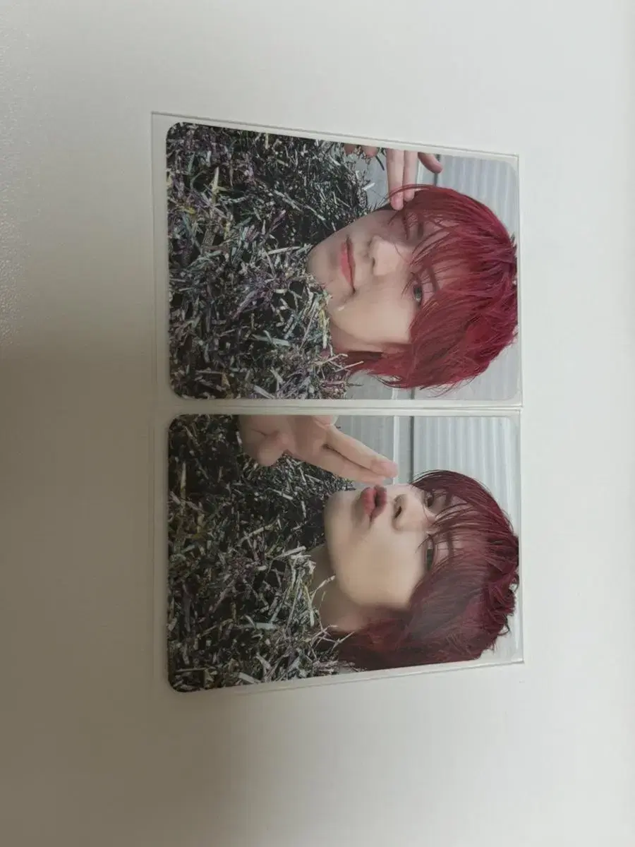 Yuta Fact Check tc bulk WTS