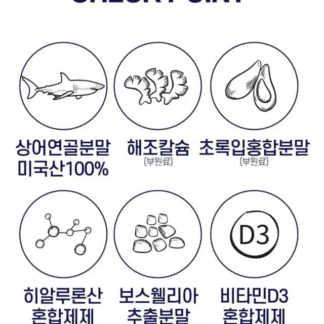 에버그린 콘드로이친 상어연골 120정