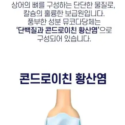 에버그린 콘드로이친 상어연골 120정