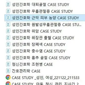 간호학과 간호과정 CASE 케이스 스터디 팔아요!