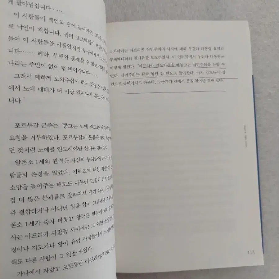 처음 읽는 아프리카의 역사 다채로운 아프리카의 모습을 제대로 이해하기