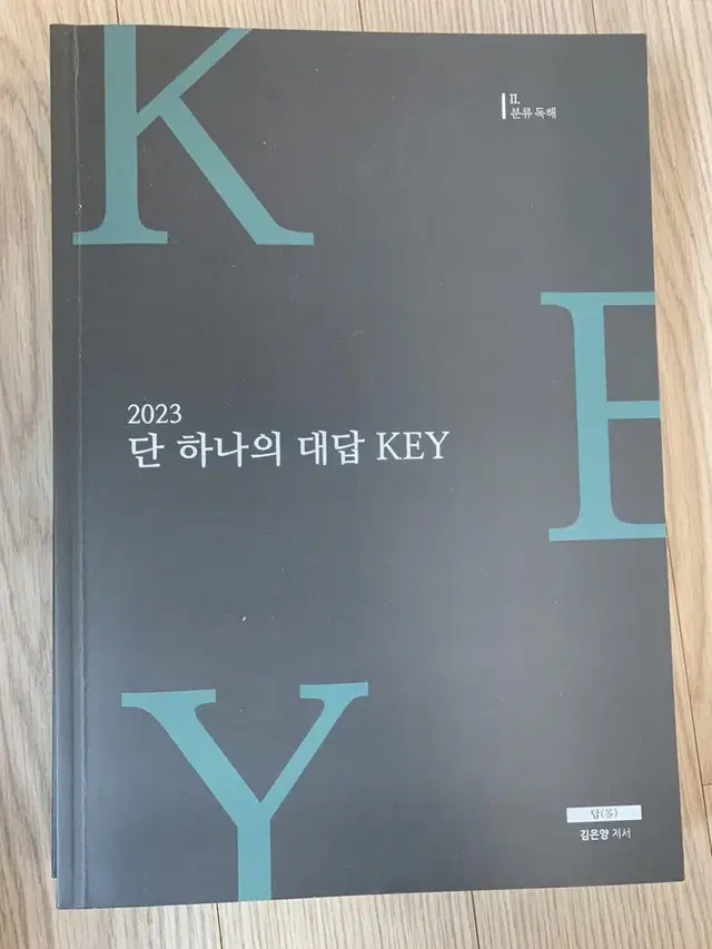 시대인재 수능국어 김은양 key 단 하나의 대답