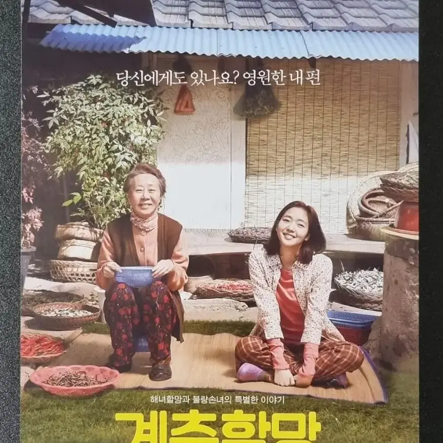 [영화팜플렛] 계춘할망 (2016)  김고은 최민호 영화전단지