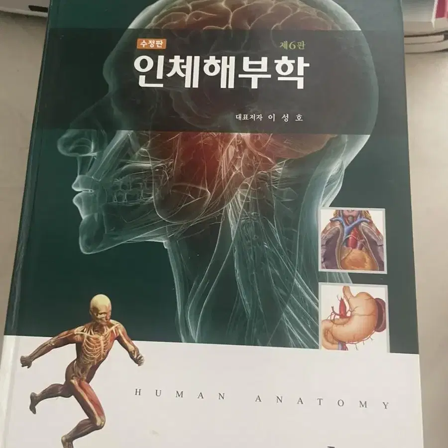 인체해부학현문사