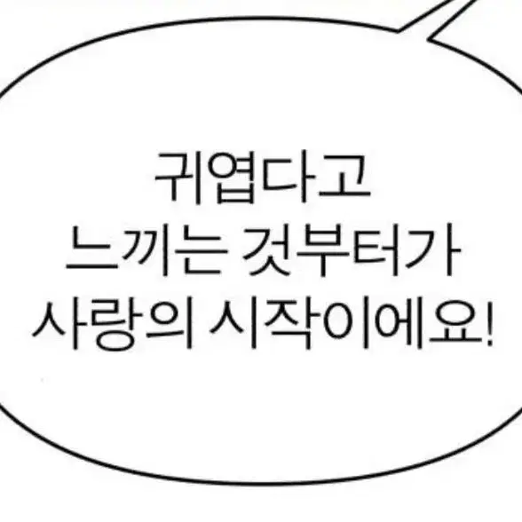 니지산지 녹틱스 써니 아크릴